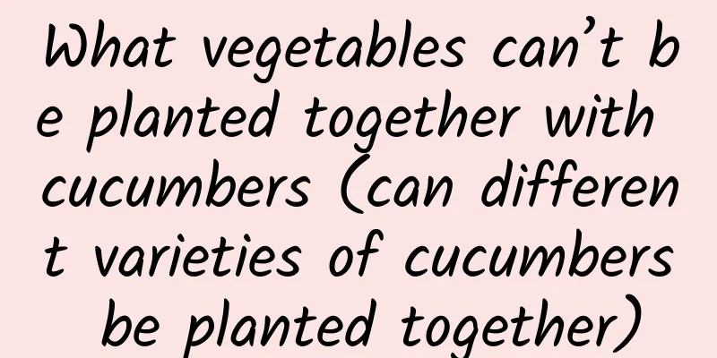 What vegetables can’t be planted together with cucumbers (can different varieties of cucumbers be planted together)