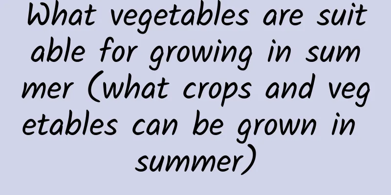 What vegetables are suitable for growing in summer (what crops and vegetables can be grown in summer)