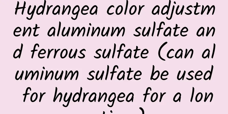 Hydrangea color adjustment aluminum sulfate and ferrous sulfate (can aluminum sulfate be used for hydrangea for a long time)