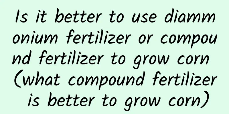 Is it better to use diammonium fertilizer or compound fertilizer to grow corn (what compound fertilizer is better to grow corn)