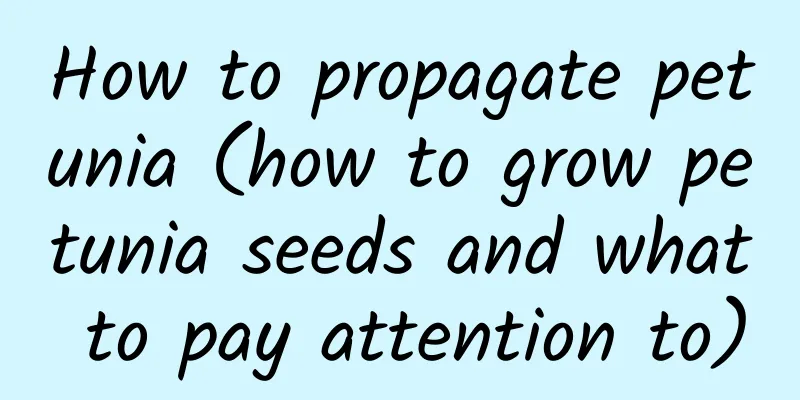 How to propagate petunia (how to grow petunia seeds and what to pay attention to)