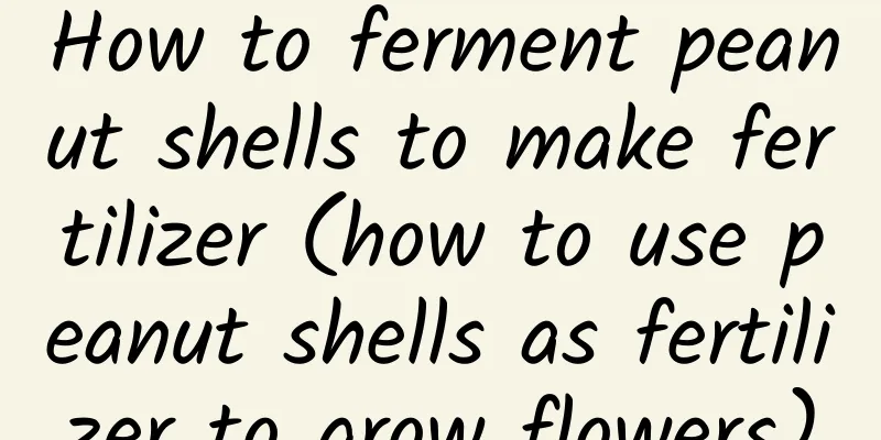 How to ferment peanut shells to make fertilizer (how to use peanut shells as fertilizer to grow flowers)