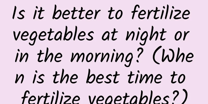 Is it better to fertilize vegetables at night or in the morning? (When is the best time to fertilize vegetables?)