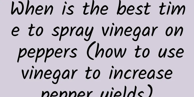 When is the best time to spray vinegar on peppers (how to use vinegar to increase pepper yields)