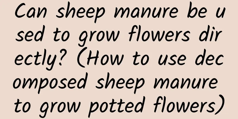 Can sheep manure be used to grow flowers directly? (How to use decomposed sheep manure to grow potted flowers)