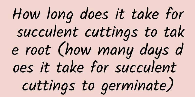 How long does it take for succulent cuttings to take root (how many days does it take for succulent cuttings to germinate)