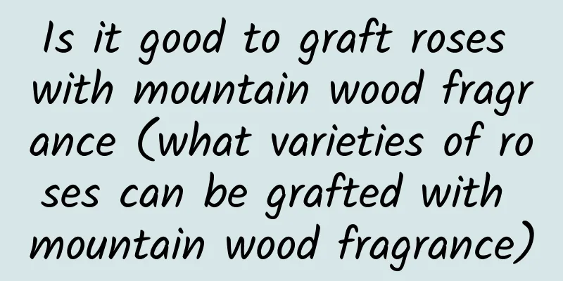 Is it good to graft roses with mountain wood fragrance (what varieties of roses can be grafted with mountain wood fragrance)