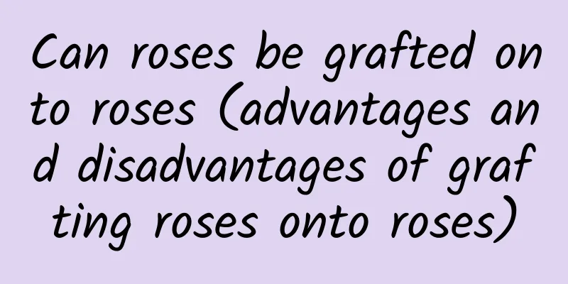Can roses be grafted onto roses (advantages and disadvantages of grafting roses onto roses)