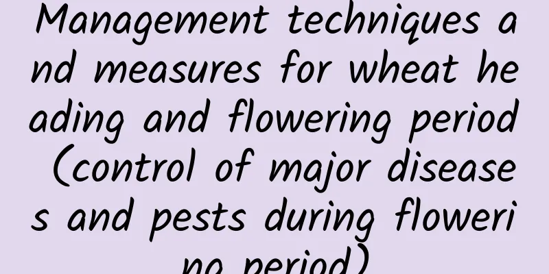 Management techniques and measures for wheat heading and flowering period (control of major diseases and pests during flowering period)