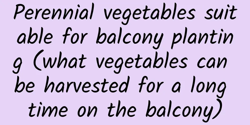 Perennial vegetables suitable for balcony planting (what vegetables can be harvested for a long time on the balcony)