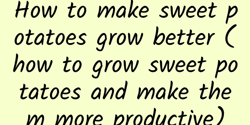 How to make sweet potatoes grow better (how to grow sweet potatoes and make them more productive)