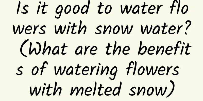 Is it good to water flowers with snow water? (What are the benefits of watering flowers with melted snow)