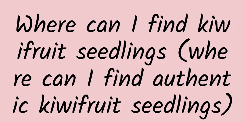 Where can I find kiwifruit seedlings (where can I find authentic kiwifruit seedlings)