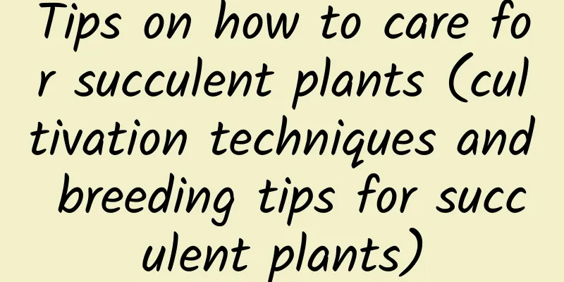 Tips on how to care for succulent plants (cultivation techniques and breeding tips for succulent plants)