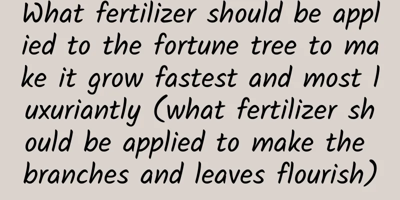 What fertilizer should be applied to the fortune tree to make it grow fastest and most luxuriantly (what fertilizer should be applied to make the branches and leaves flourish)