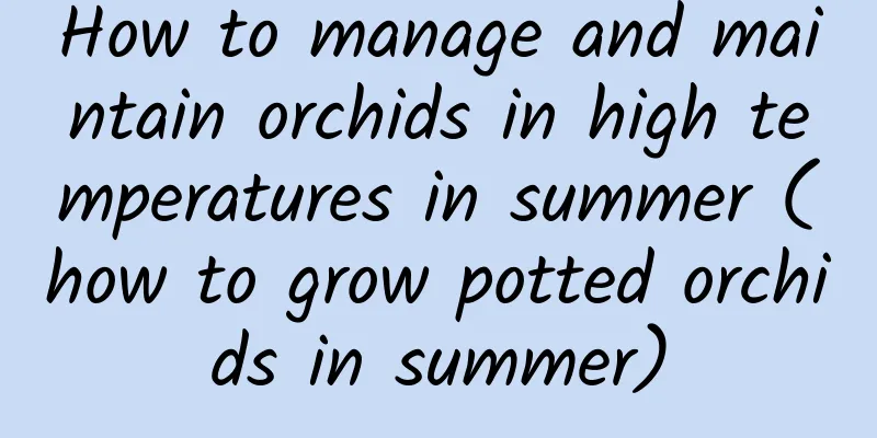 How to manage and maintain orchids in high temperatures in summer (how to grow potted orchids in summer)