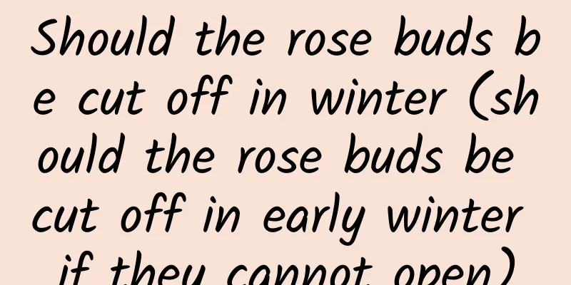 Should the rose buds be cut off in winter (should the rose buds be cut off in early winter if they cannot open)