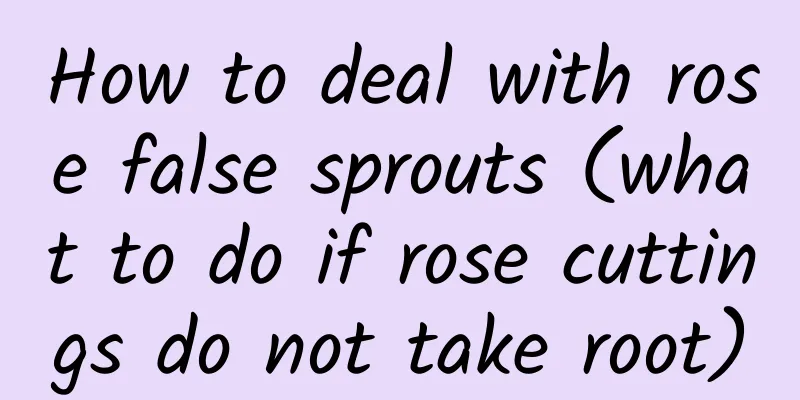 How to deal with rose false sprouts (what to do if rose cuttings do not take root)