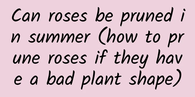 Can roses be pruned in summer (how to prune roses if they have a bad plant shape)