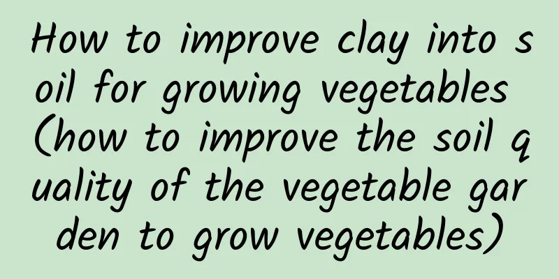 How to improve clay into soil for growing vegetables (how to improve the soil quality of the vegetable garden to grow vegetables)