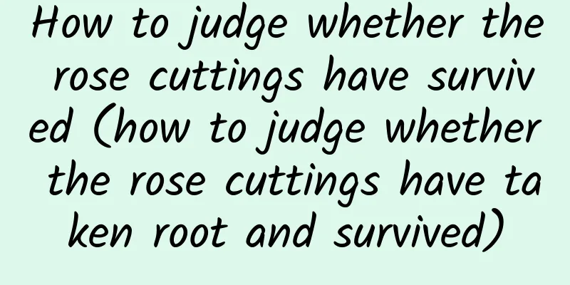 How to judge whether the rose cuttings have survived (how to judge whether the rose cuttings have taken root and survived)