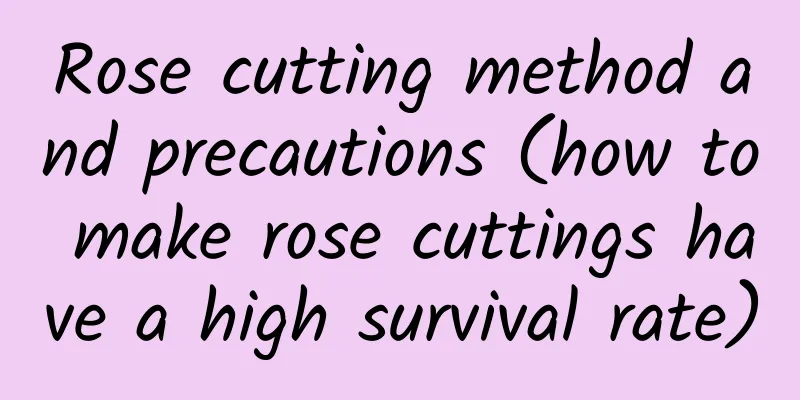 Rose cutting method and precautions (how to make rose cuttings have a high survival rate)