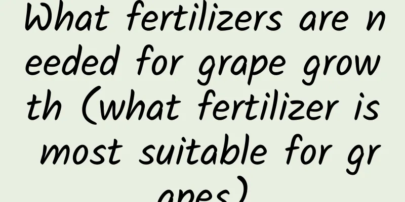 What fertilizers are needed for grape growth (what fertilizer is most suitable for grapes)