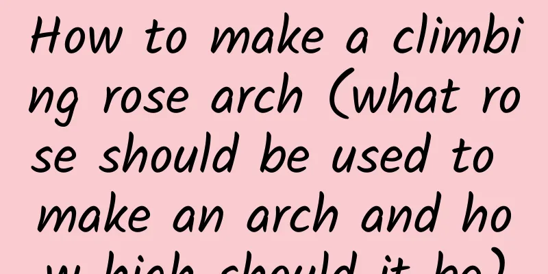 How to make a climbing rose arch (what rose should be used to make an arch and how high should it be)