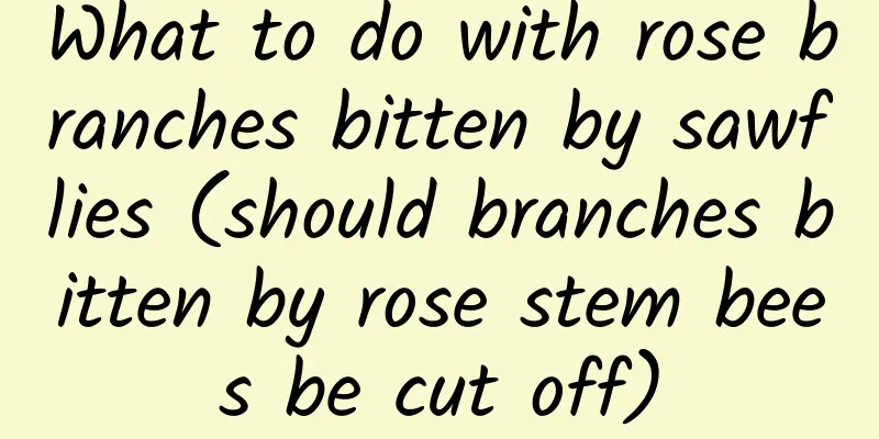 What to do with rose branches bitten by sawflies (should branches bitten by rose stem bees be cut off)