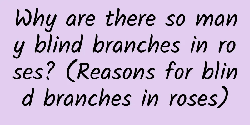 Why are there so many blind branches in roses? (Reasons for blind branches in roses)