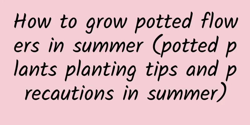 How to grow potted flowers in summer (potted plants planting tips and precautions in summer)