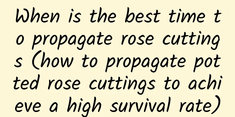 When is the best time to propagate rose cuttings (how to propagate potted rose cuttings to achieve a high survival rate)