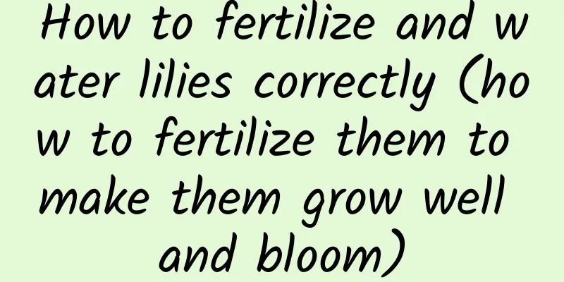 How to fertilize and water lilies correctly (how to fertilize them to make them grow well and bloom)