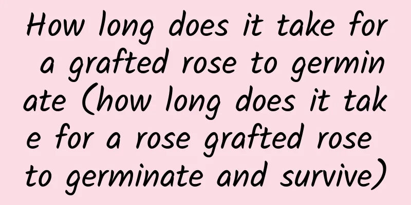 How long does it take for a grafted rose to germinate (how long does it take for a rose grafted rose to germinate and survive)