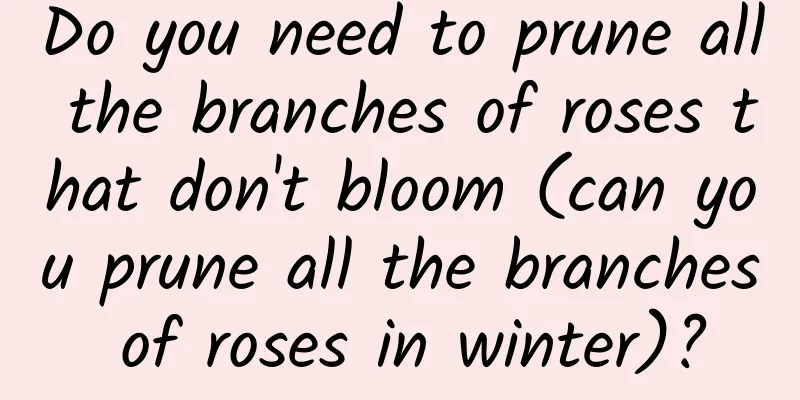 Do you need to prune all the branches of roses that don't bloom (can you prune all the branches of roses in winter)?
