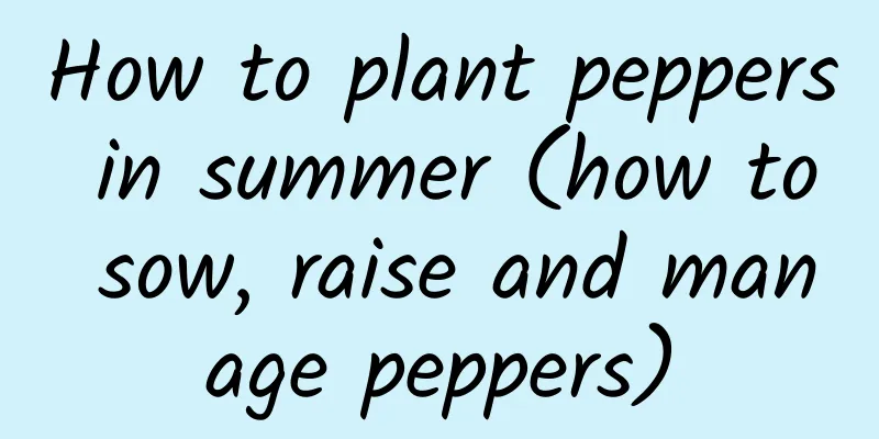 How to plant peppers in summer (how to sow, raise and manage peppers)