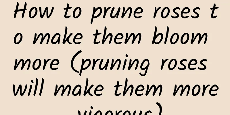 How to prune roses to make them bloom more (pruning roses will make them more vigorous)