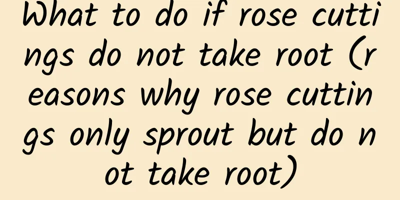 What to do if rose cuttings do not take root (reasons why rose cuttings only sprout but do not take root)