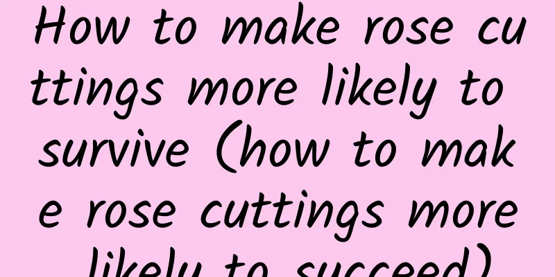 How to make rose cuttings more likely to survive (how to make rose cuttings more likely to succeed)