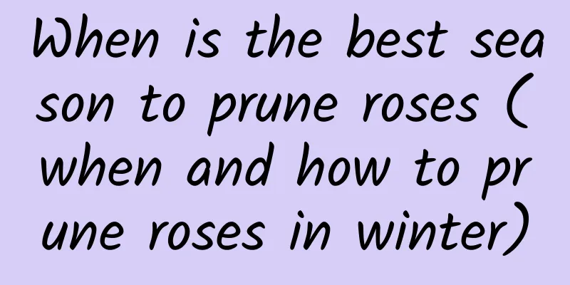 When is the best season to prune roses (when and how to prune roses in winter)