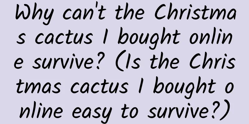 Why can't the Christmas cactus I bought online survive? (Is the Christmas cactus I bought online easy to survive?)