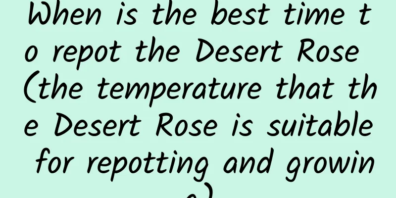 When is the best time to repot the Desert Rose (the temperature that the Desert Rose is suitable for repotting and growing)