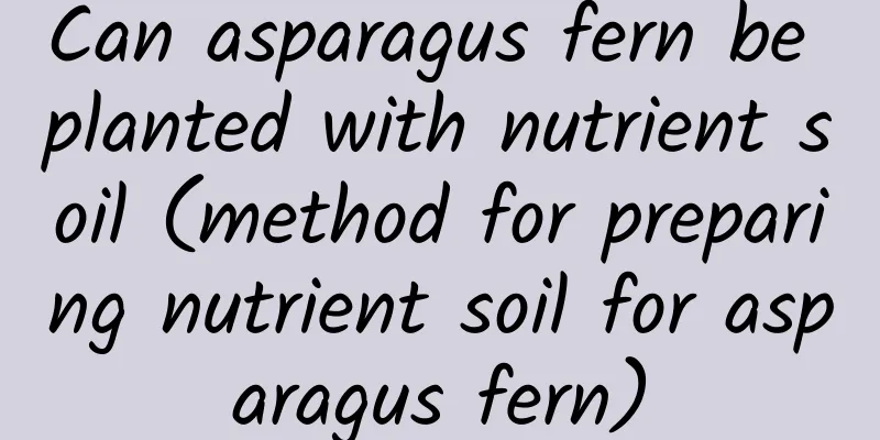 Can asparagus fern be planted with nutrient soil (method for preparing nutrient soil for asparagus fern)