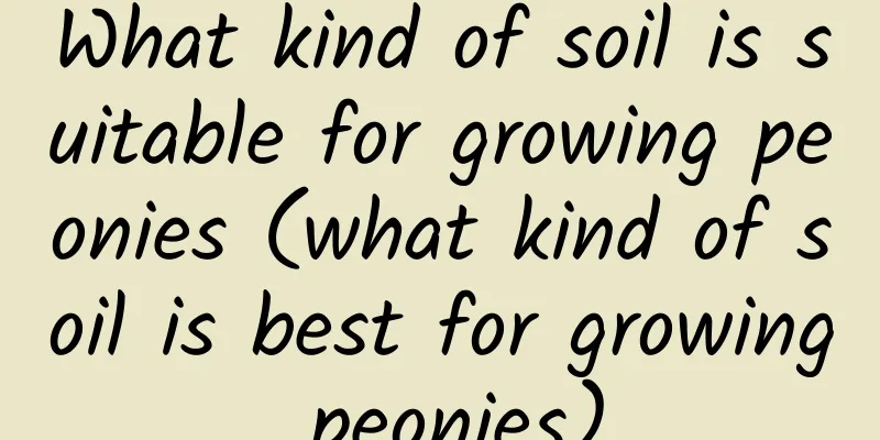 What kind of soil is suitable for growing peonies (what kind of soil is best for growing peonies)