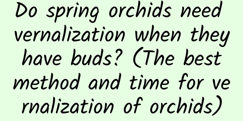 Do spring orchids need vernalization when they have buds? (The best method and time for vernalization of orchids)