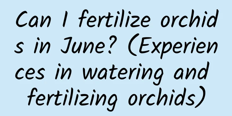 Can I fertilize orchids in June? (Experiences in watering and fertilizing orchids)