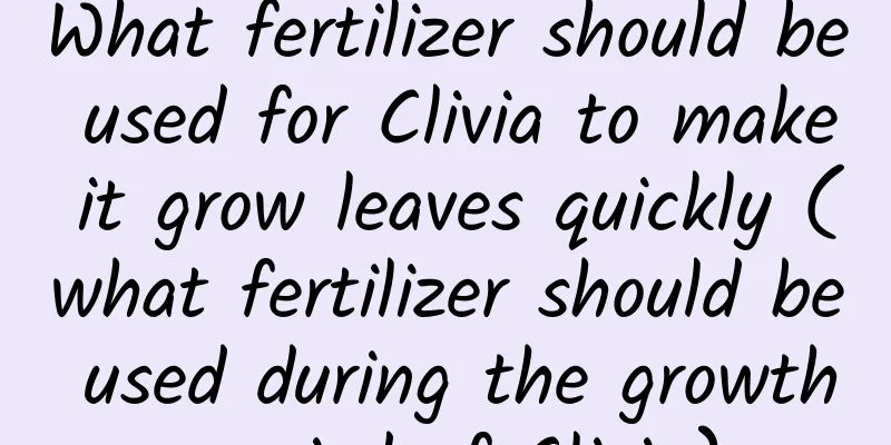 What fertilizer should be used for Clivia to make it grow leaves quickly (what fertilizer should be used during the growth period of Clivia)