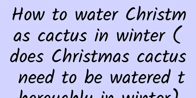 How to water Christmas cactus in winter (does Christmas cactus need to be watered thoroughly in winter)