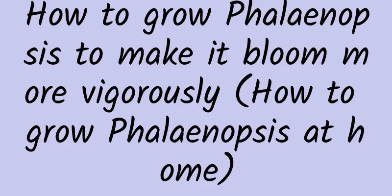 How to grow Phalaenopsis to make it bloom more vigorously (How to grow Phalaenopsis at home)