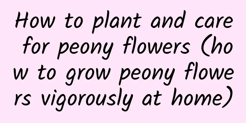 How to plant and care for peony flowers (how to grow peony flowers vigorously at home)